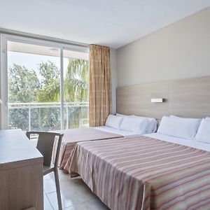 Chambre Familiale Lit King-Size